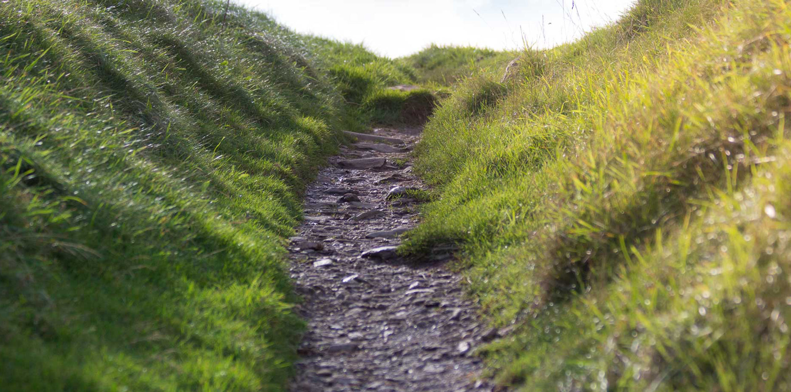 Devon coastal path